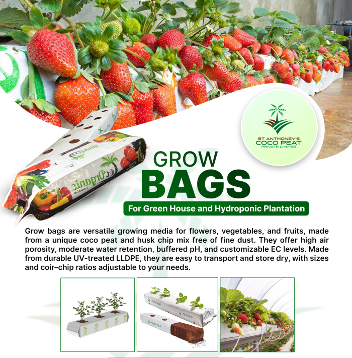 Grow Bags